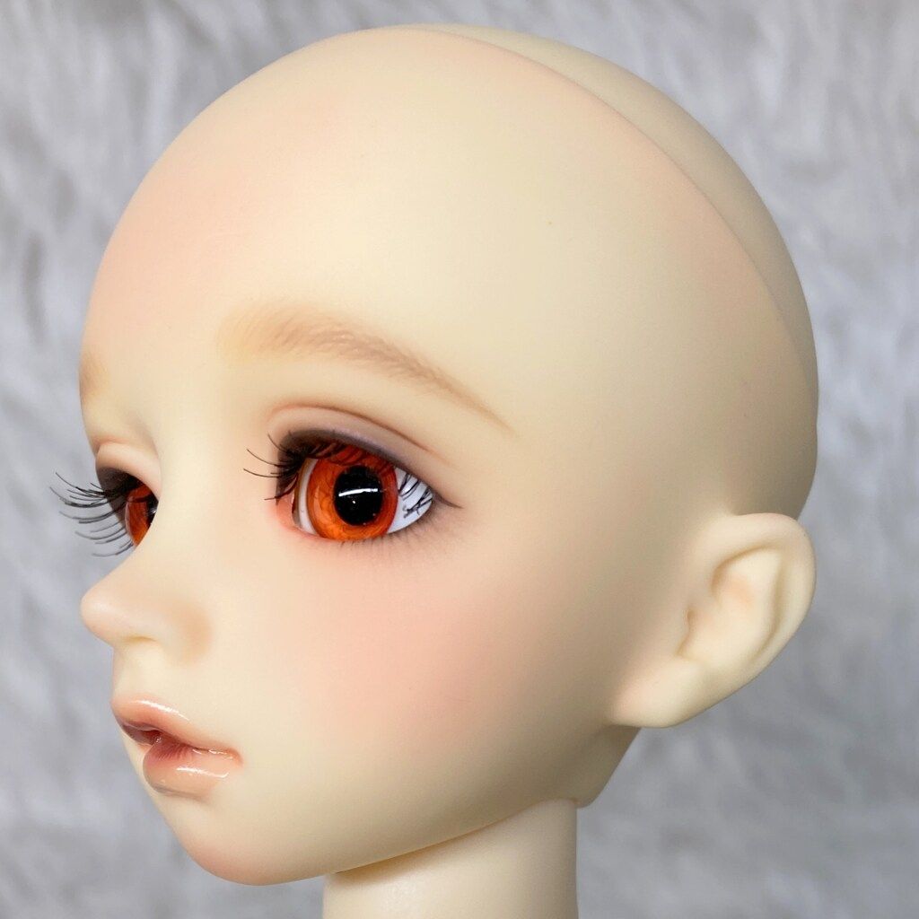 コーディネートモデル