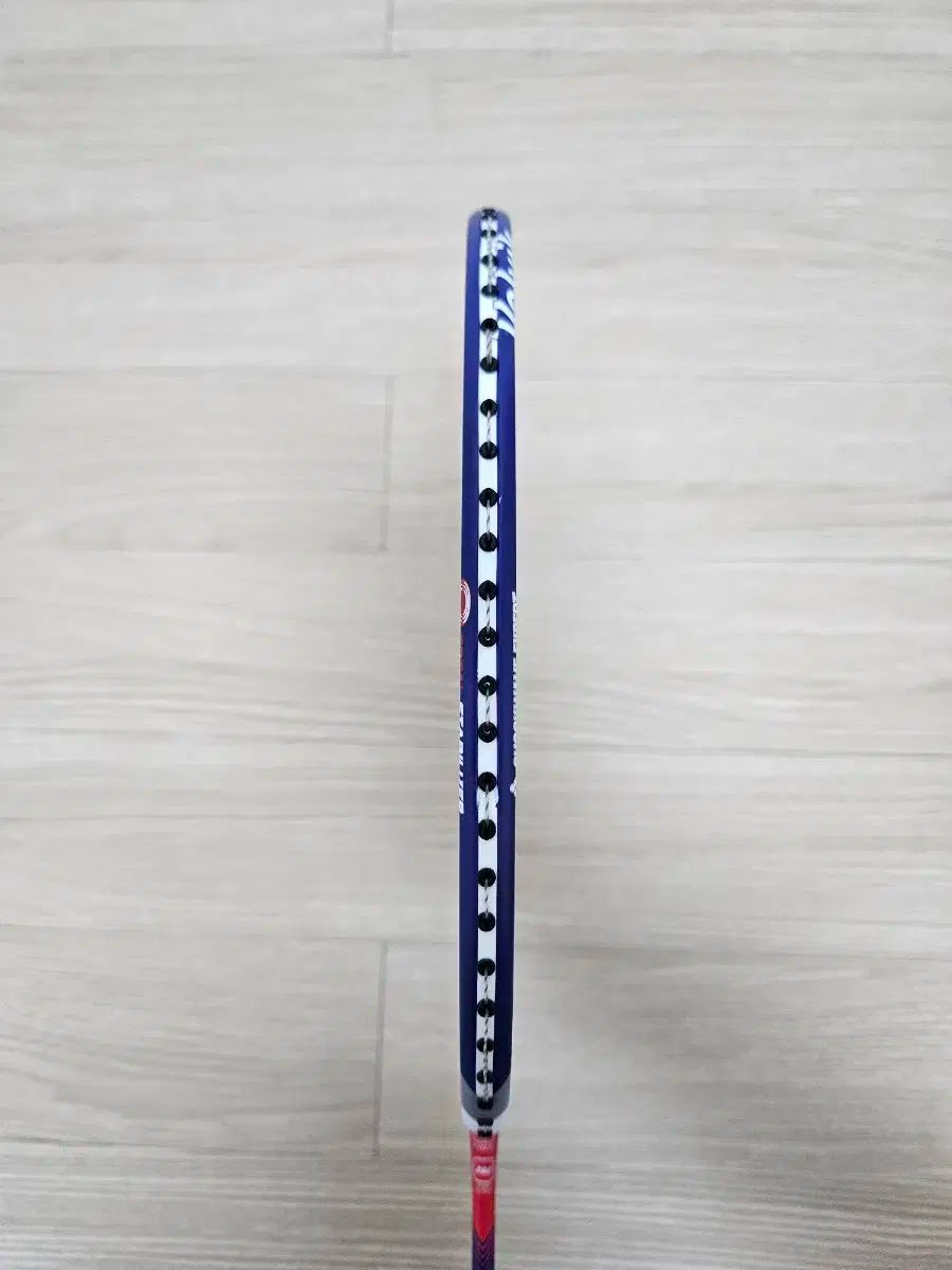 ブリスカー82 バドミントン