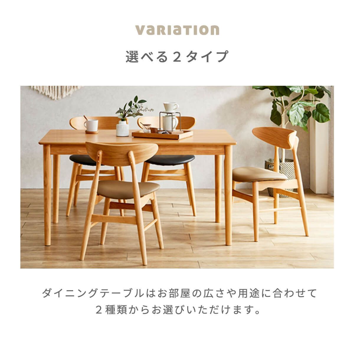 5点 ラック付き