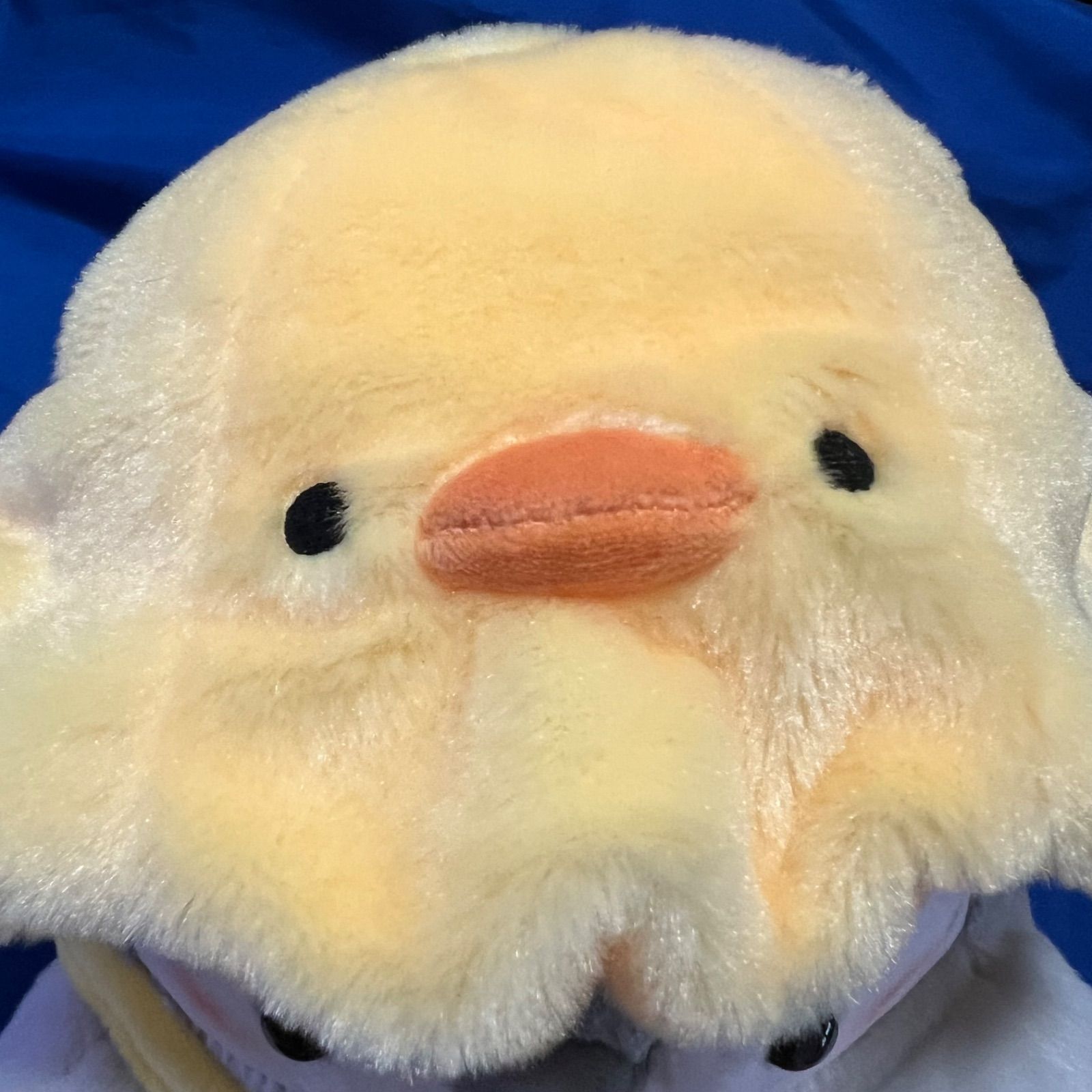コウペンちゃん 春を待つおさんぽぬいぐるみ S （ぴよぴよ帽子