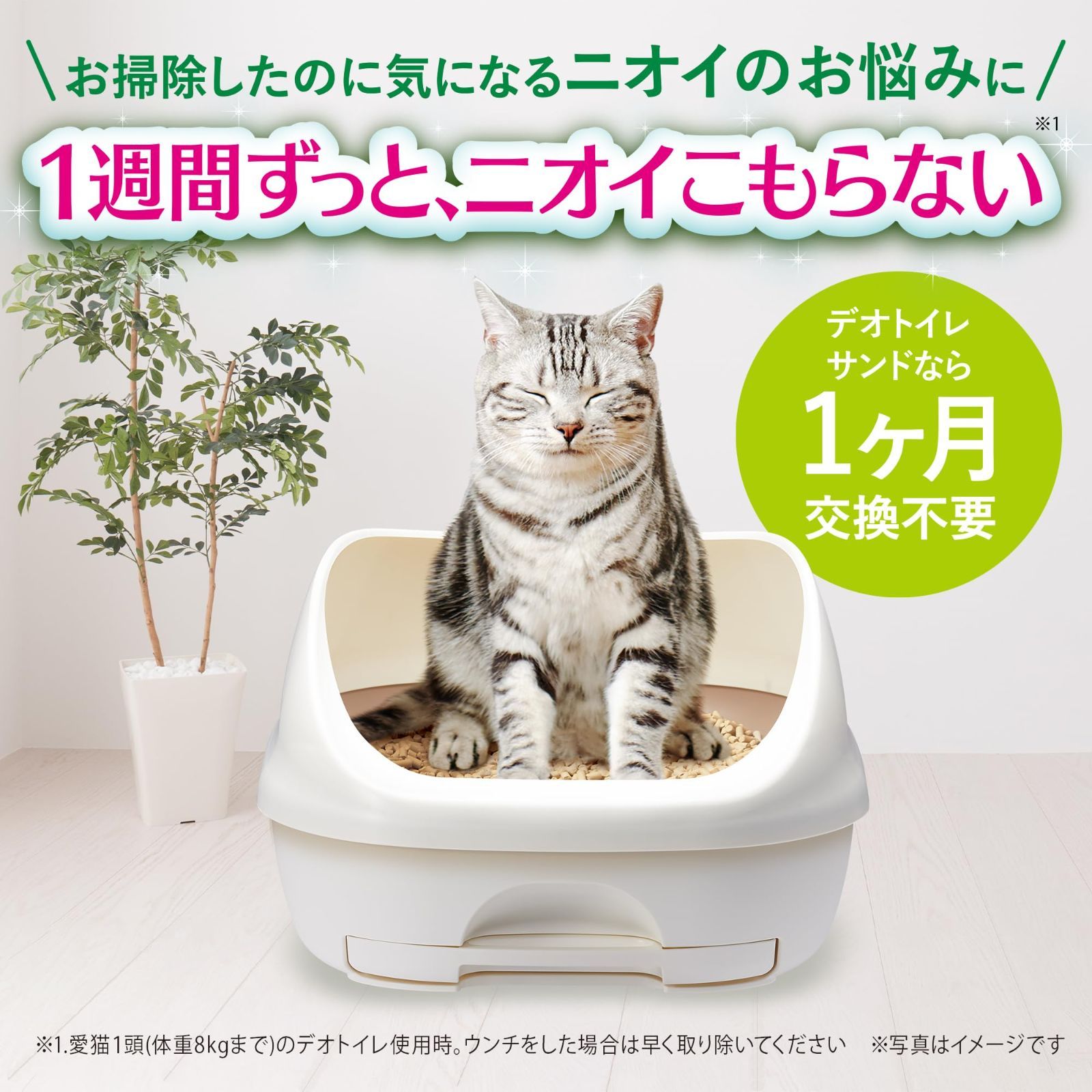 サンド 消臭