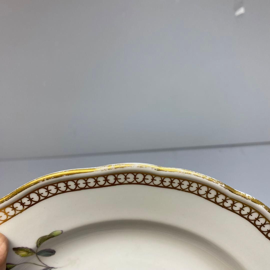 1880年代 マイセンローズ