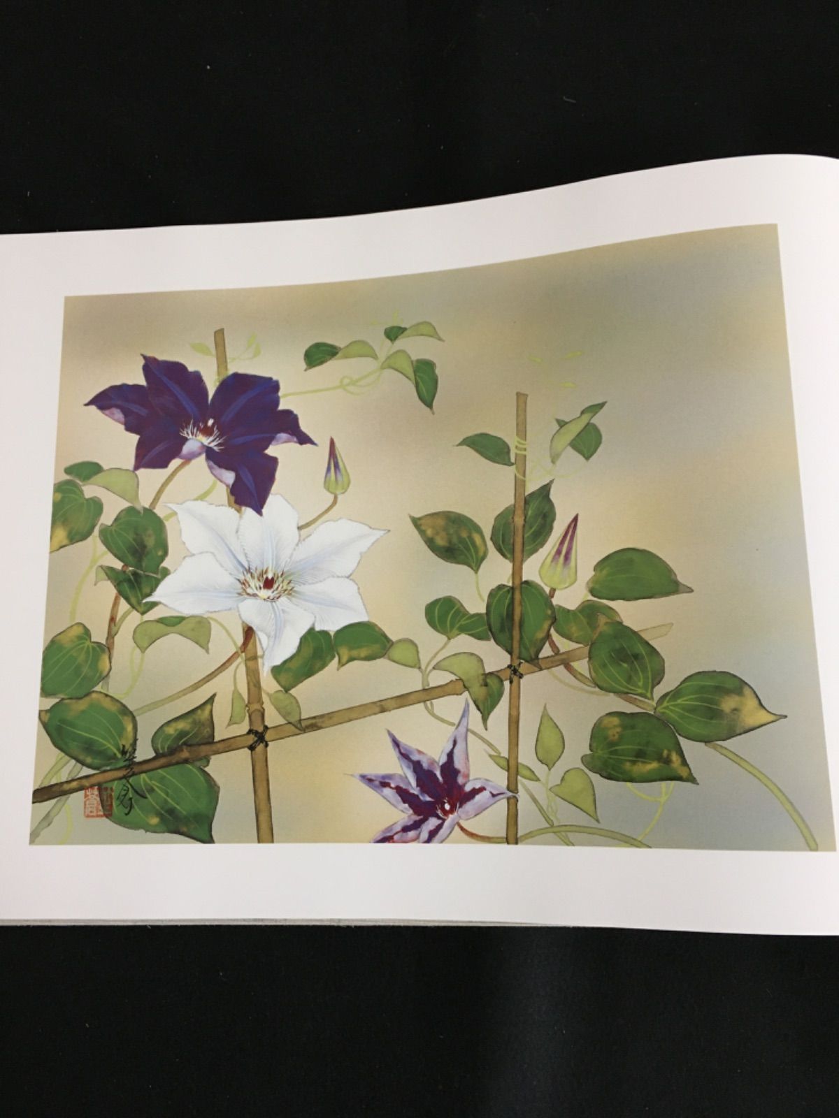 166/○扇絵師 東笙蒼 飾扇子11点 『花暦』 共箱 和装小物