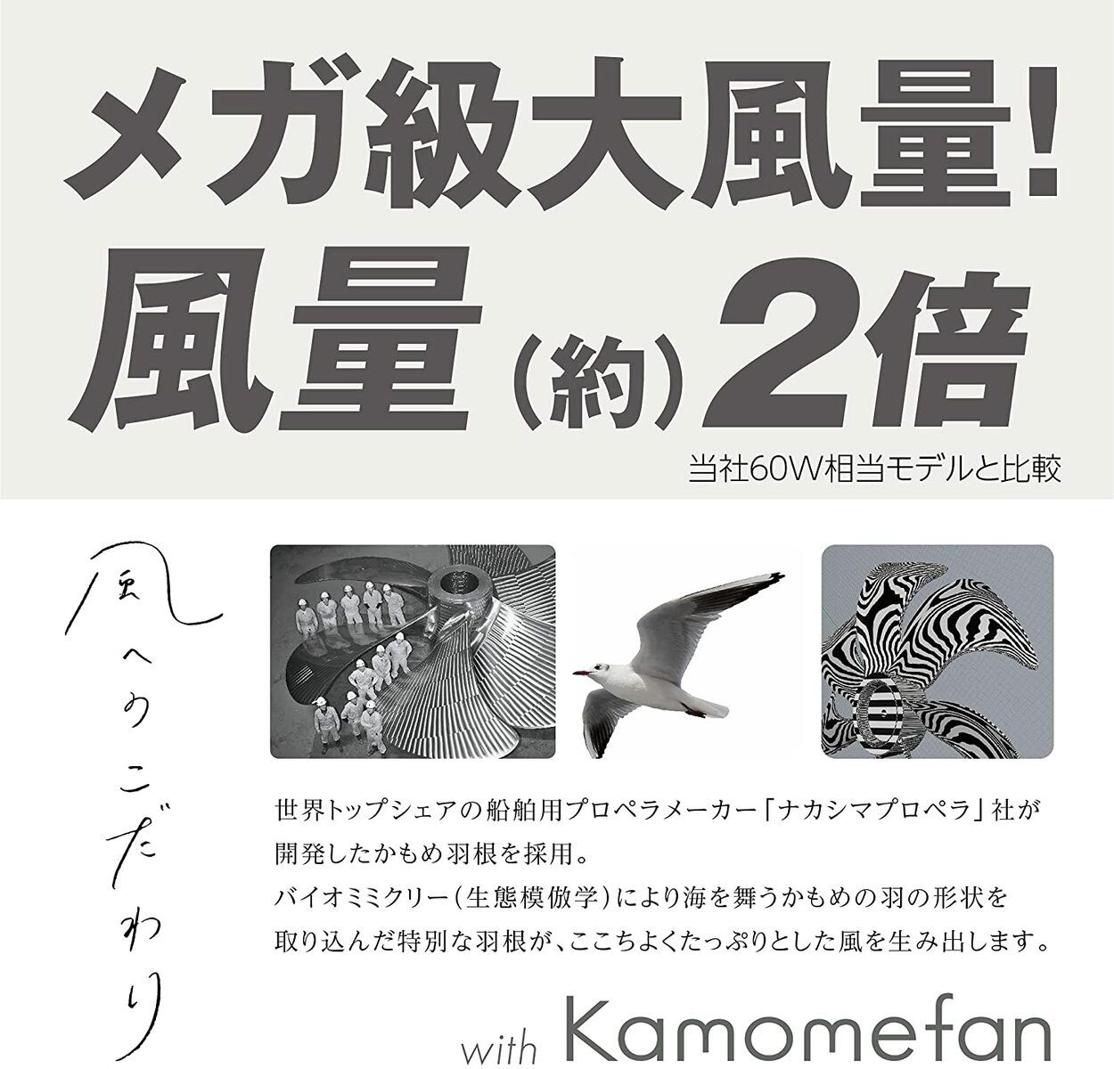 サーキュライト メガ DSLS10MCWH E26 100W相当 ソケット リモコン付き CIRCULIGHT ドウシシャ R WWW_KANDAIZUMI_COM