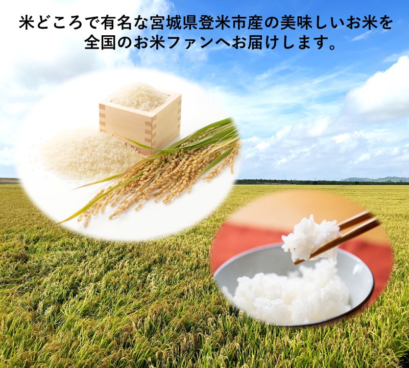 精米 令和6年|宮城県|登米市|ひとめぼれ|10kg|