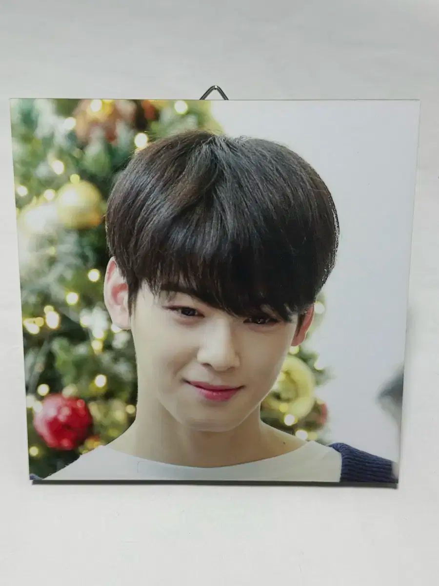 チャ・ウヌ(CHA EUNWOO) ミニ 額縁 Dicon BOY ISSUE N゜1 チャ
