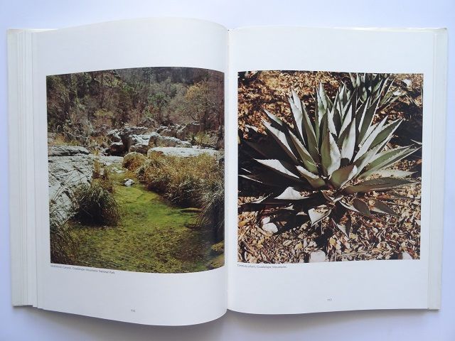 洋書◆テキサス写真集 本 アメリカ 風景 景色 自然 洋書◇テキサス写真集 本 アメリカ 風景 景色 自然 | 洋書堂