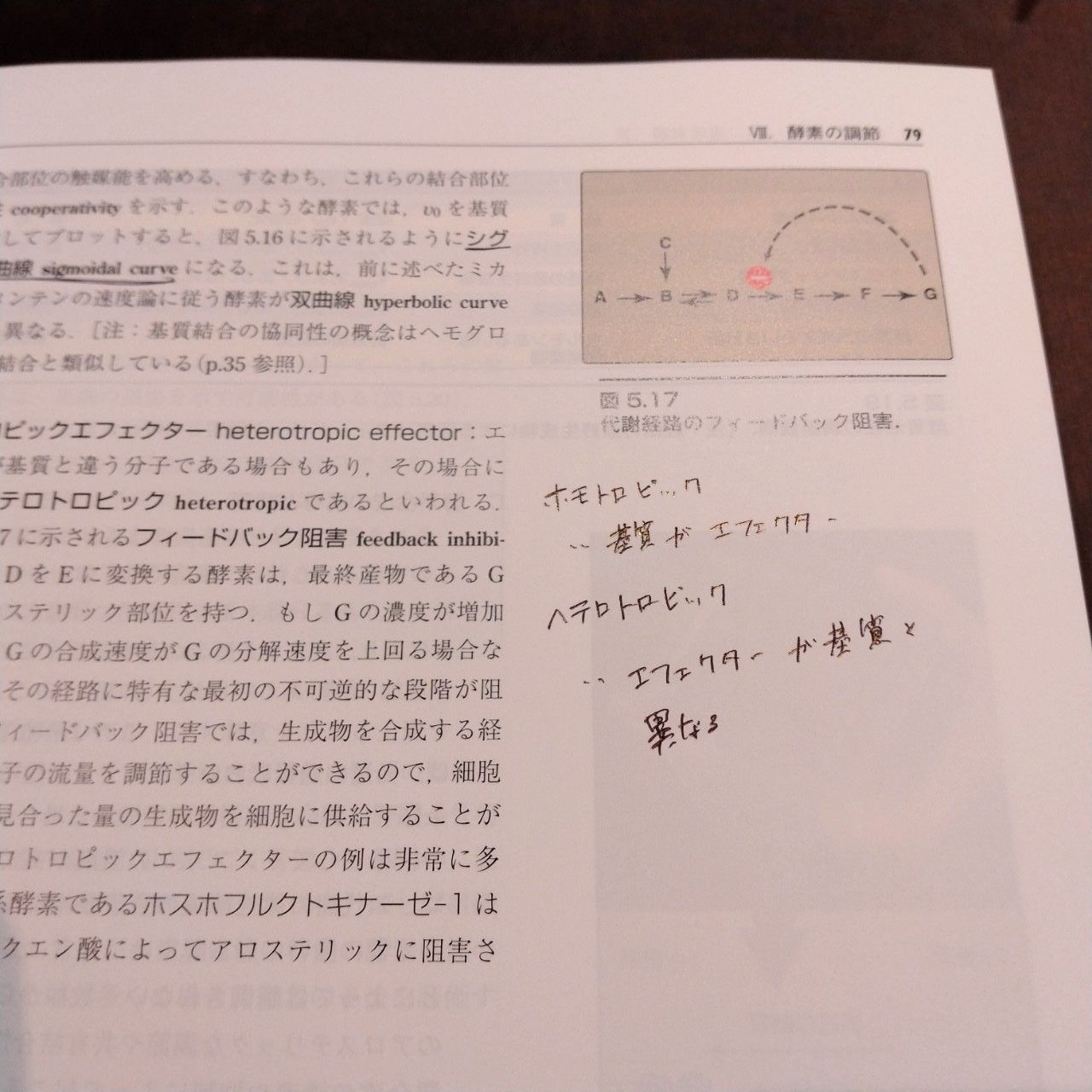 イラストレイテッド 生化学 [原書7版] (リッピンコットシリーズ