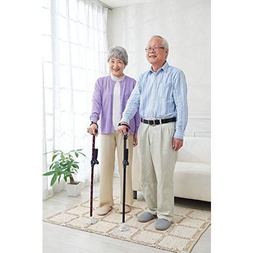 室内用 お助け杖