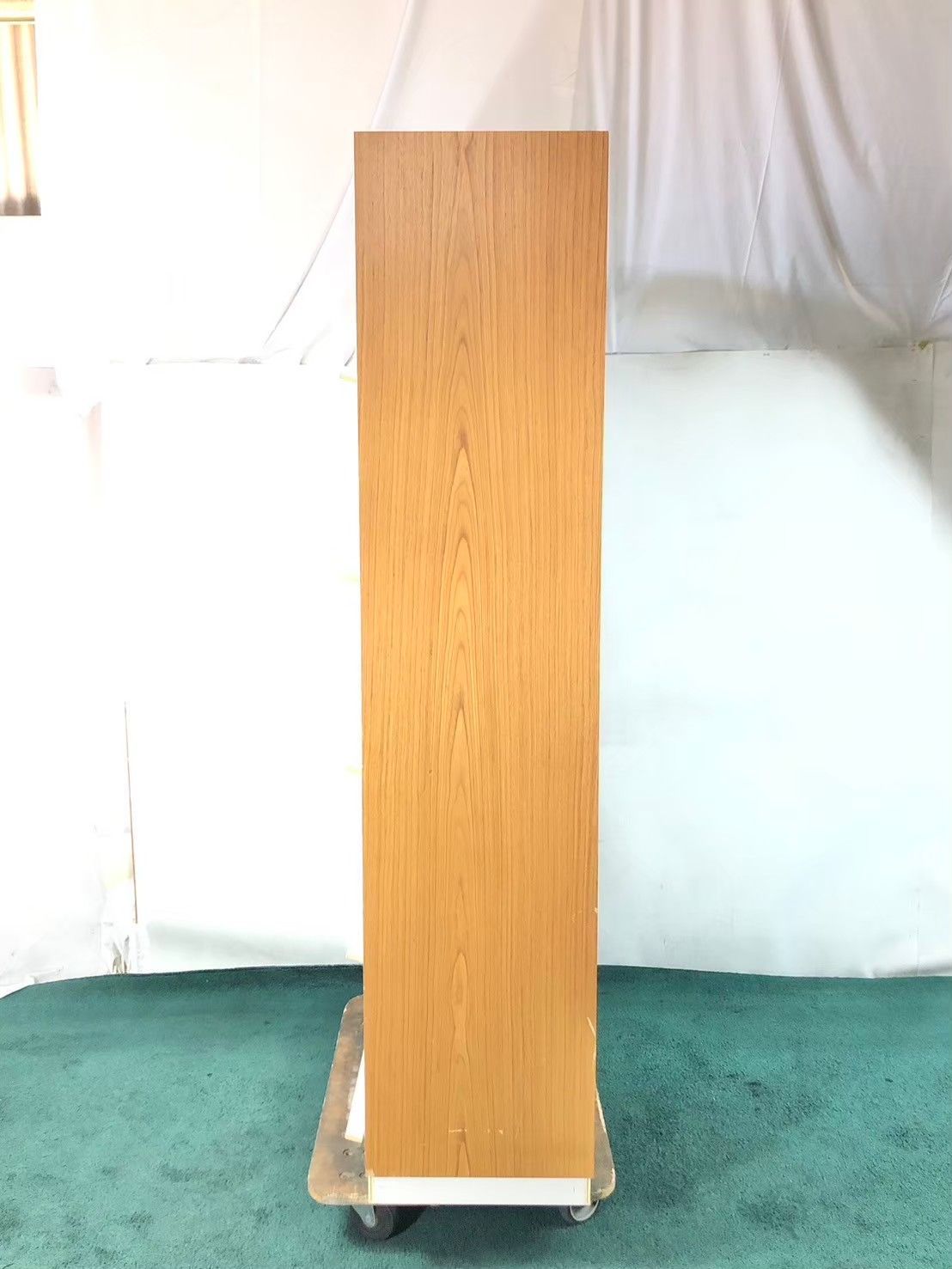 書庫 本棚