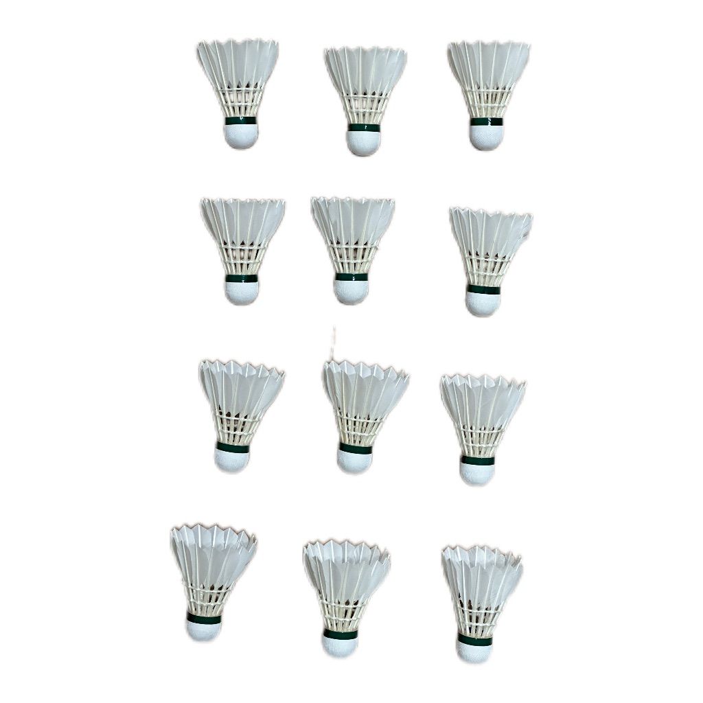  Flyerバドミントンシャトル 入り 長持ち耐久性安定性抜群 室内外 5ダース シャトル バドミントン