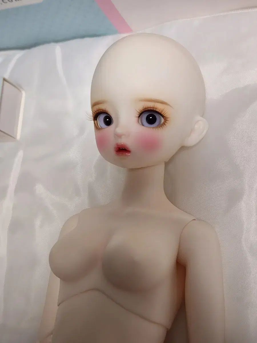 msd ミューズ