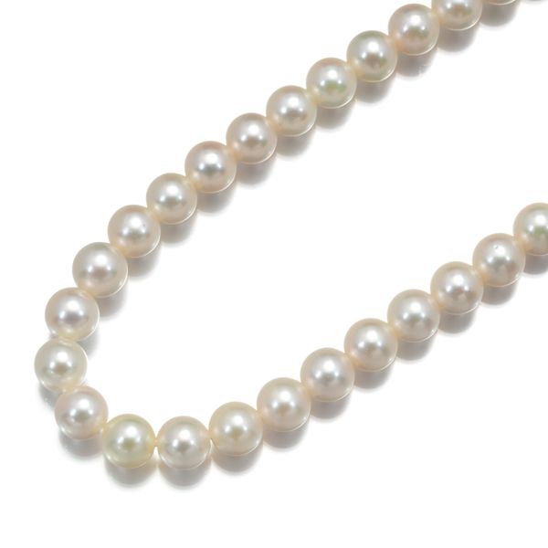 【新品】TASAKI　タサキ　パールネックレス　K18YG TASAKI】タサキ『K18YG エニーマ ネックレス パール4.9～7.1mm