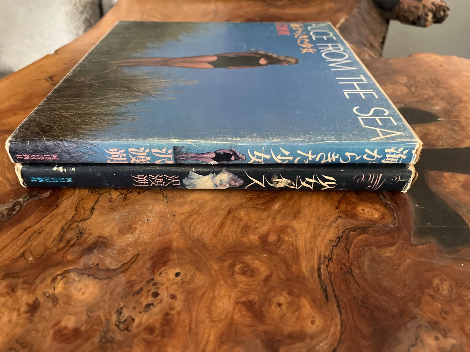 海からきた少女 Alice from the Sea 沢渡朔 - 古本買取販売