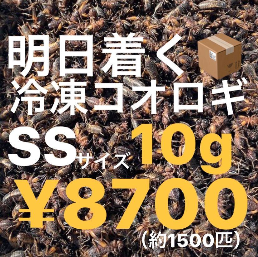 明日着く 冷凍コオロギ SSサイズ10g 5mm前後