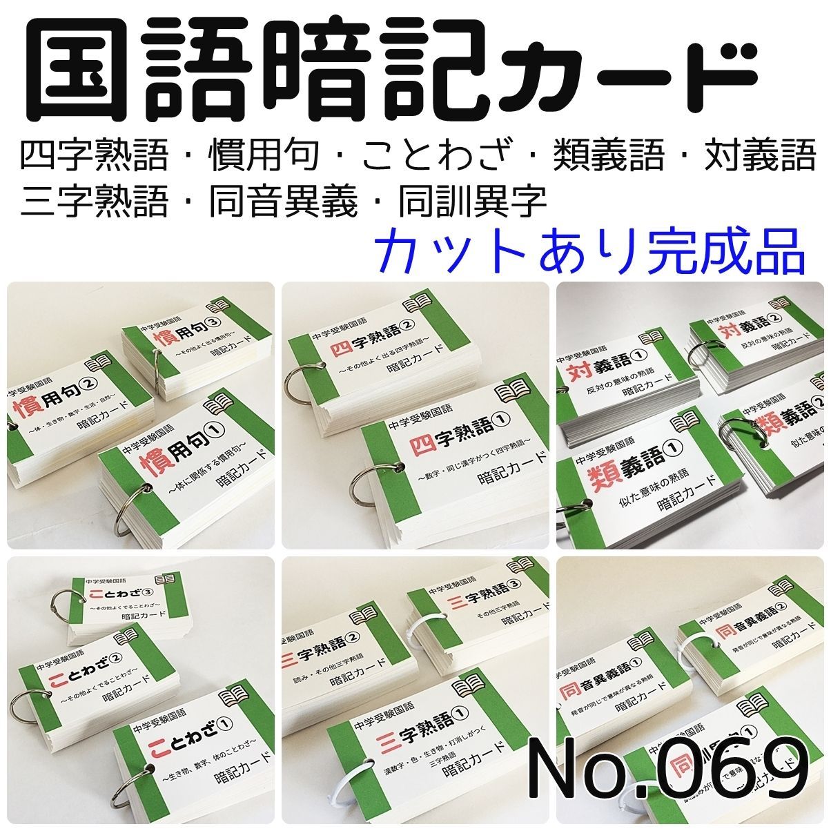 091】中学受験国語 同音異義語、同訓異字200語 カット前