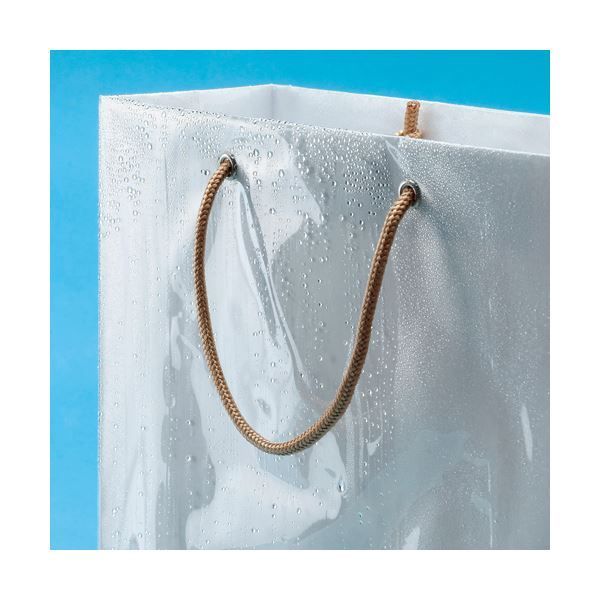 まとめ TANOSEE ビニールカバー付手提げ袋 S ヨコ330×タテ320×マチ幅110mm 白無地 1パック 10枚 ×5セット