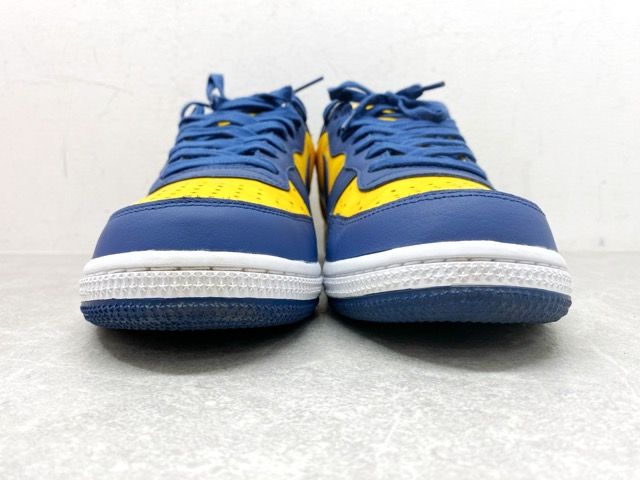 NIKE（ナイキ）TERMINATOR LOW OG ターミネーター ロー MICHIGAN