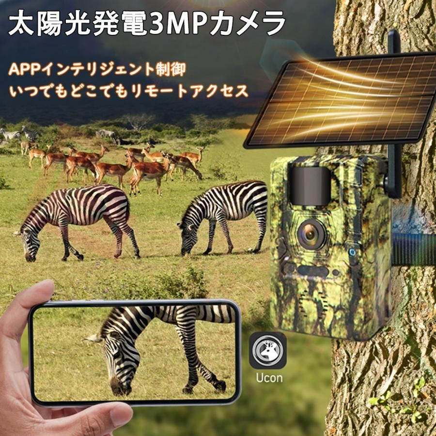 夜間撮影