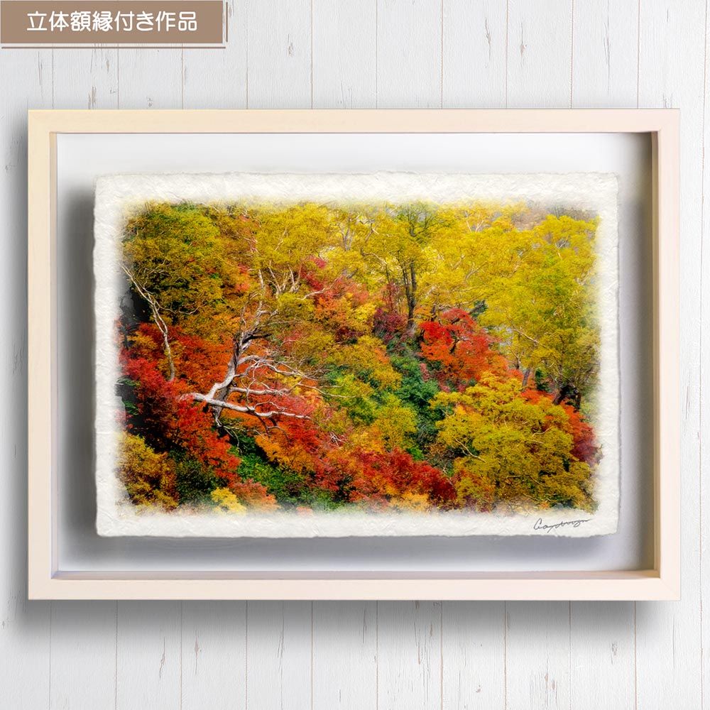和紙の絵写真 「紅葉の中の立ち枯れした木」 立体額縁付き