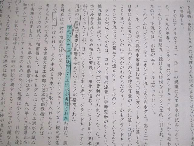 SAPIX 小6 SS特訓 国語 女子学院対策プリント01～14 2020 027S2D