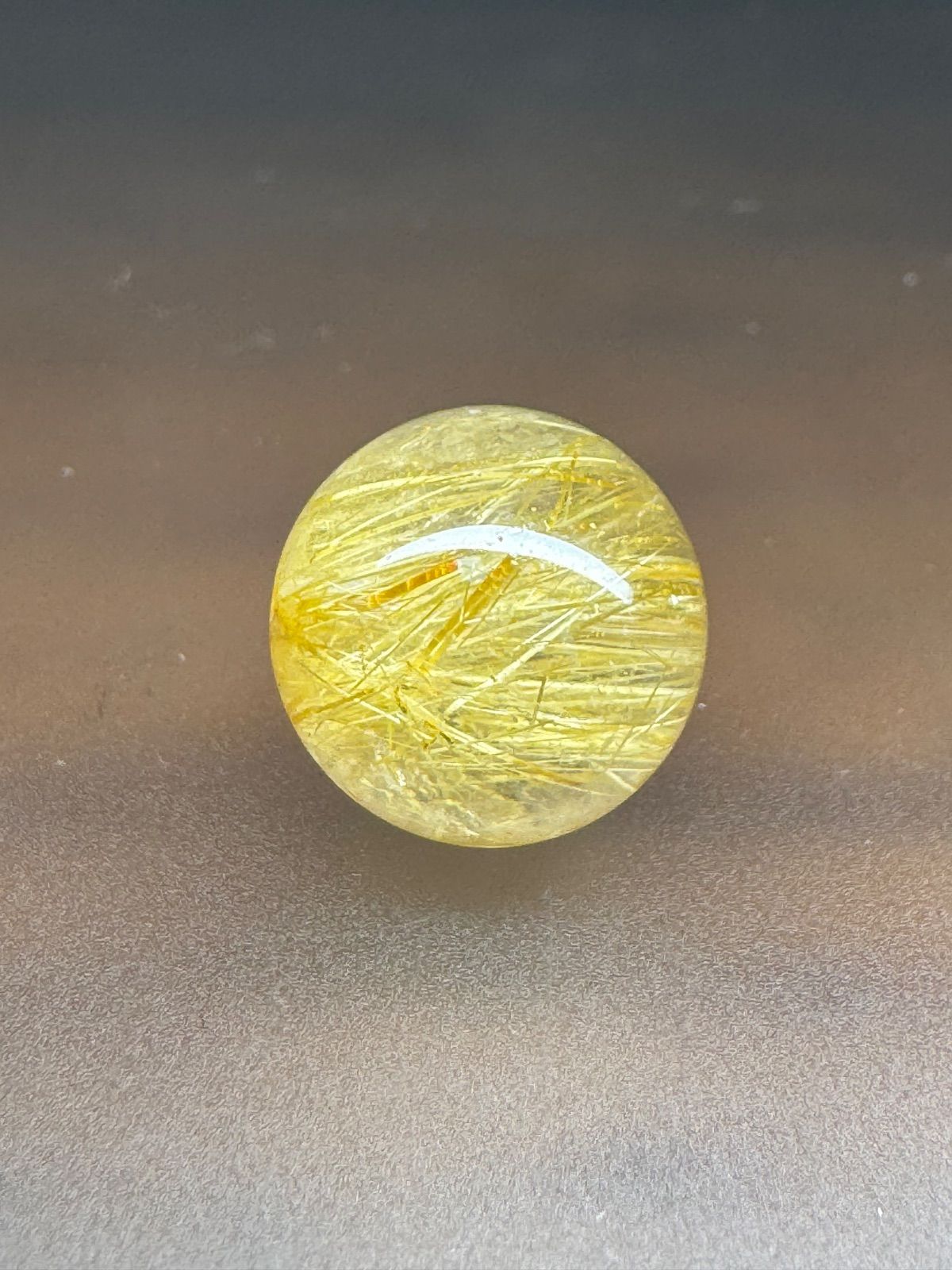 古伊万里 染付蛸唐草文皿 富貴長春 江戸期 19cm 古美術 古
