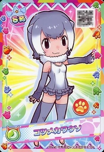 けものフレンズ3 プラネットツアーズ　アナザー 中古】けものフレンズ3プラネットツアーズ SR-F-001-A[SR