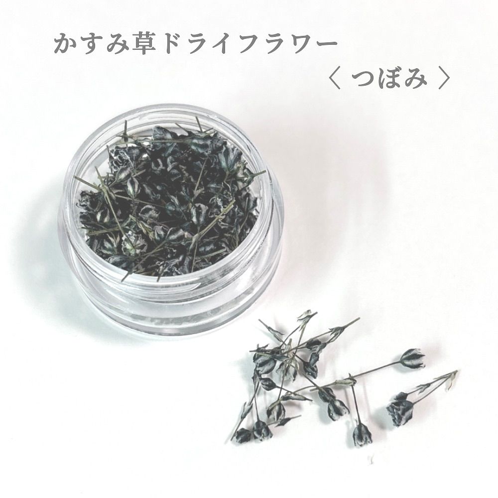 No.381 ブラック No.381 ブラック