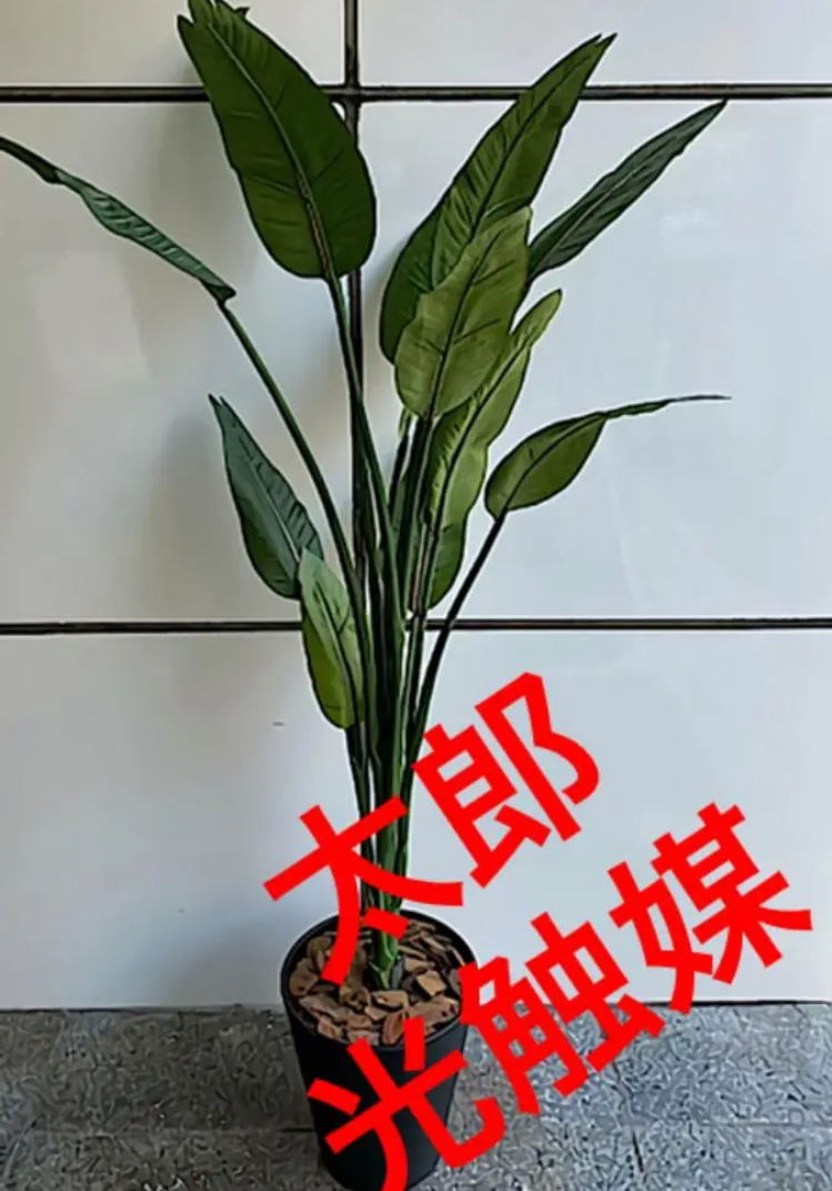 光触媒　人工観葉植物　ウォールグリーン　フェイクグリーン　ストレチア160