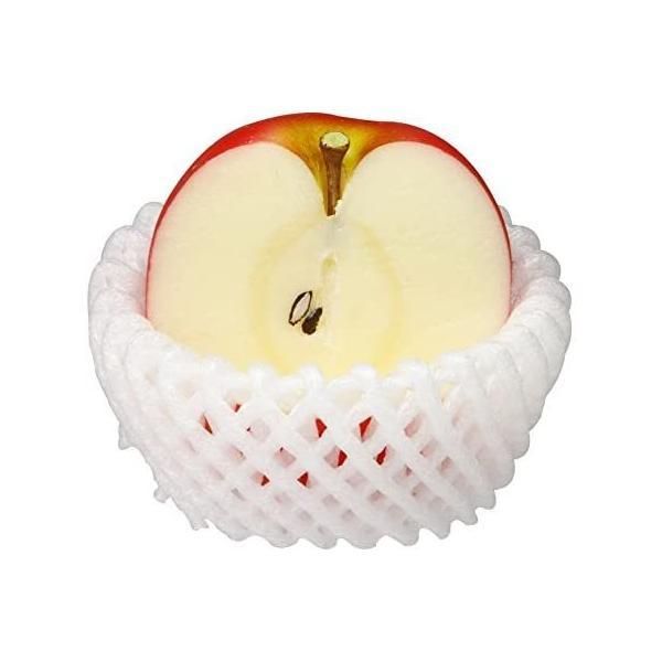 売り切りセール3000円引 】はたらく細胞 シリーズ 49冊セット