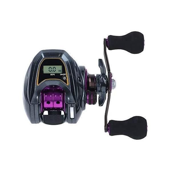 ダイワ(DAIWA) 小売 カウンター付ベイトリール LIGHT SW X IC SS (右