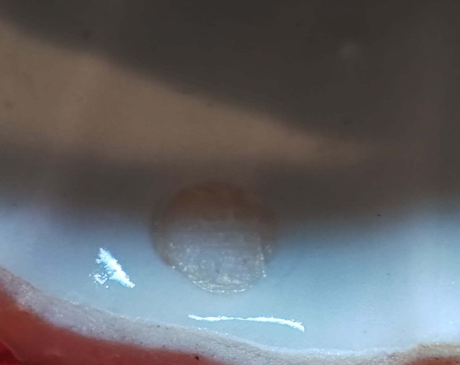 逢絢亭】茶道具 蓋置 九谷焼 菊の形 矢口永寿 共箱入り 作家 九谷焼