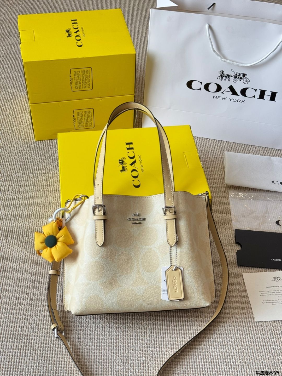 今日 Coach Mollie 25 Tote Bag モリー 25 トートバッグ-WTO輸入4