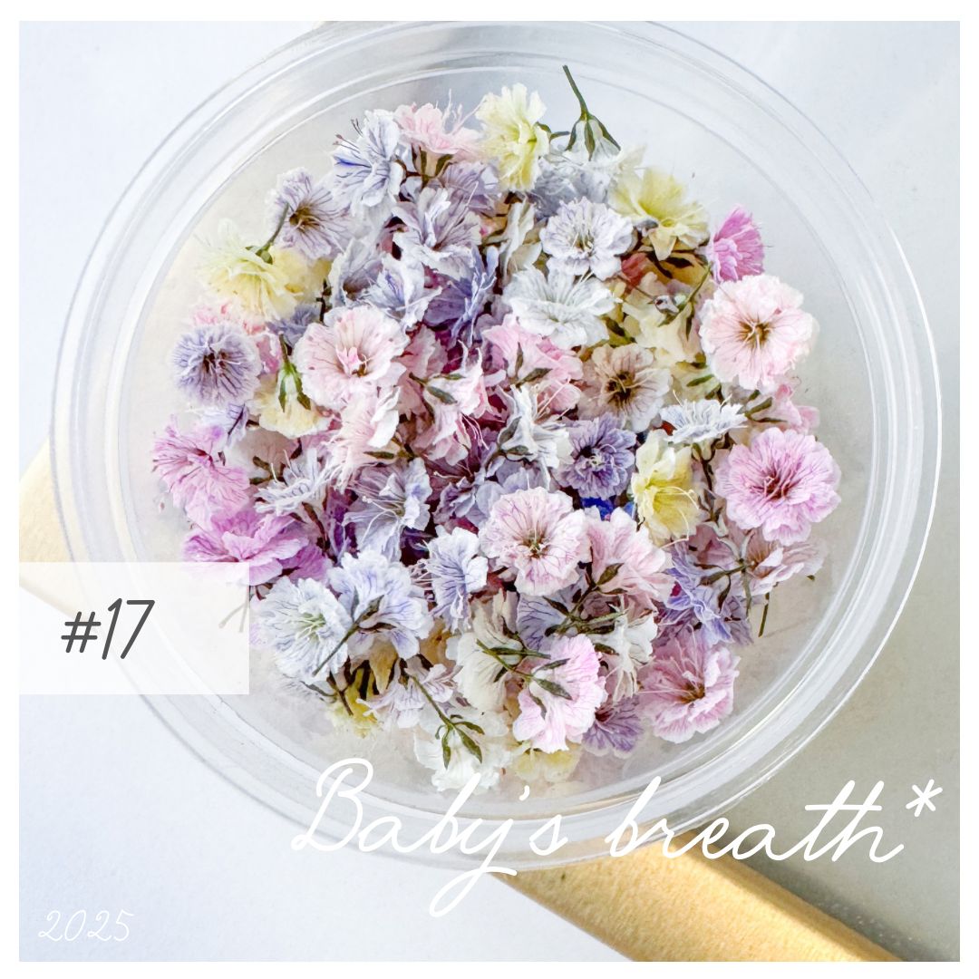17 ドライフラワー フラワー 花 ピンク ブルー 【公式通販】