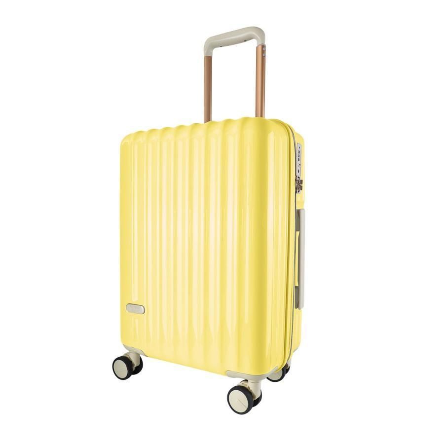 39L TSAロック
