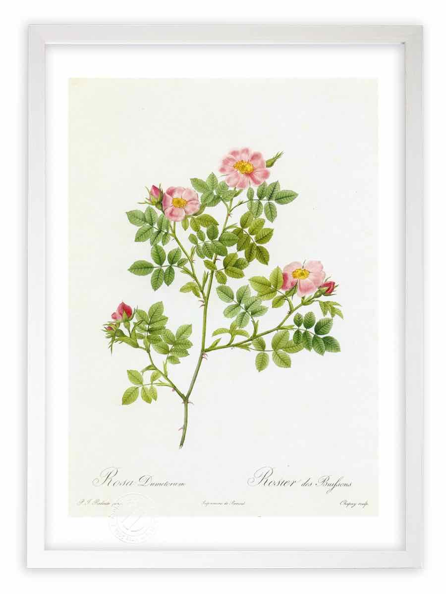 絵画　アクリル絵　額縁　キャンバス　白鳥　風景画 絵画 アクリル絵 額縁 キャンバス 白鳥 風景画 額縁 アートフレーム