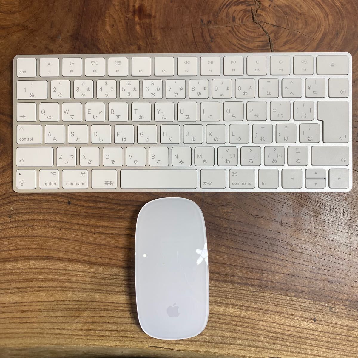|Mouse