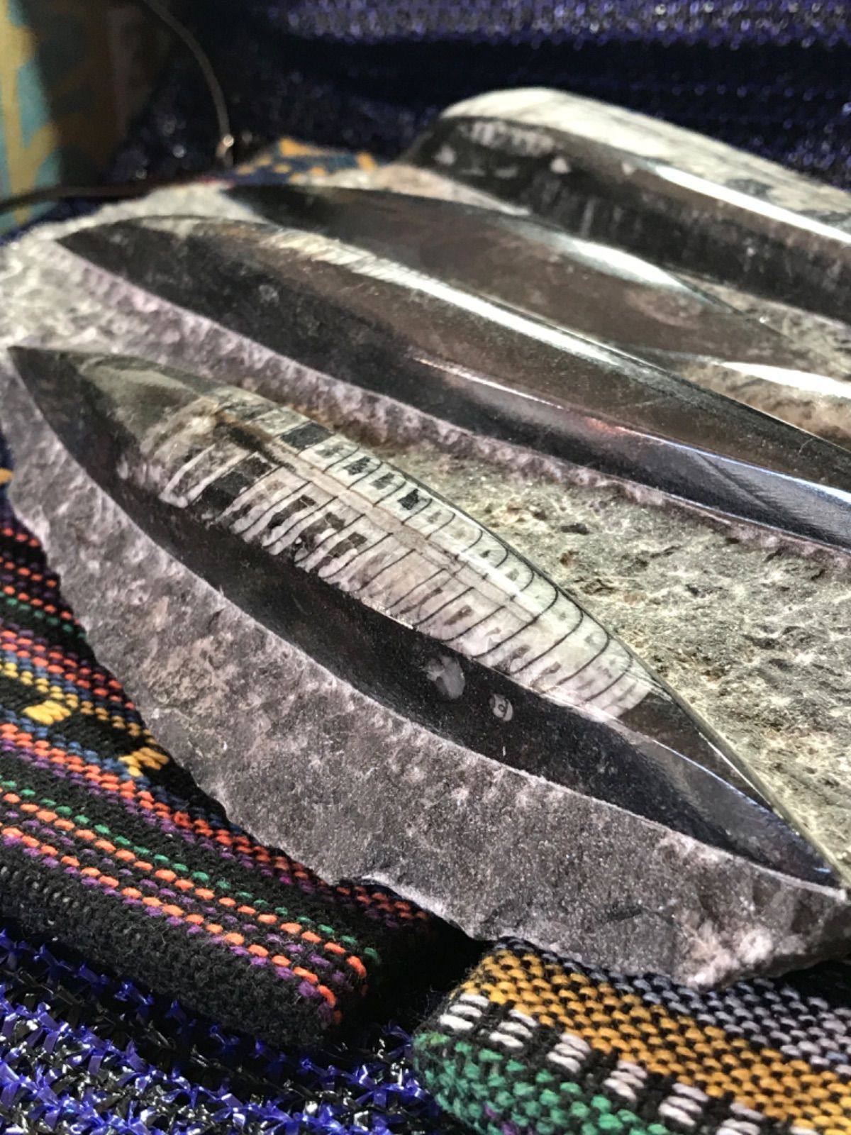 ◉モロッコ産【オルソセラス群/直角貝群】古生代デボン紀/化石[001 ◉モロッコ産【オルソセラス群/直角貝群】古生代デボン紀/化石[001