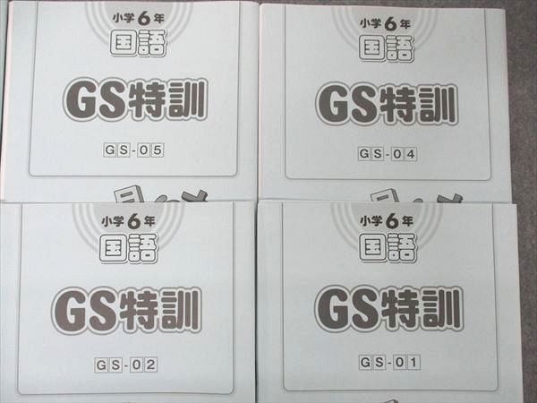 US04-024 SAPIX 小6年 サピックス 国語 GS特訓 GS-01~06 テスト6回分