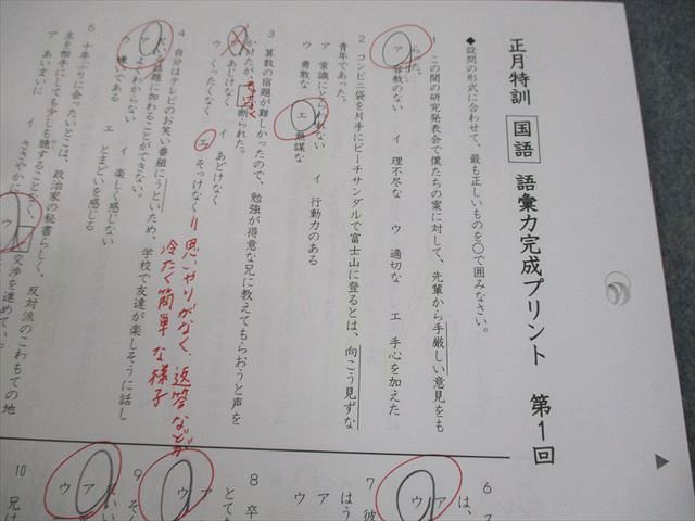 SAPIX サピックス 小6 国語 SS特訓/冬期講習/正月特訓 語彙力完成プリント 全24回フルセット 2024 008s2D SAPIX サピックス 小6 国語 SS特訓/冬期講習/正月特訓 語彙力