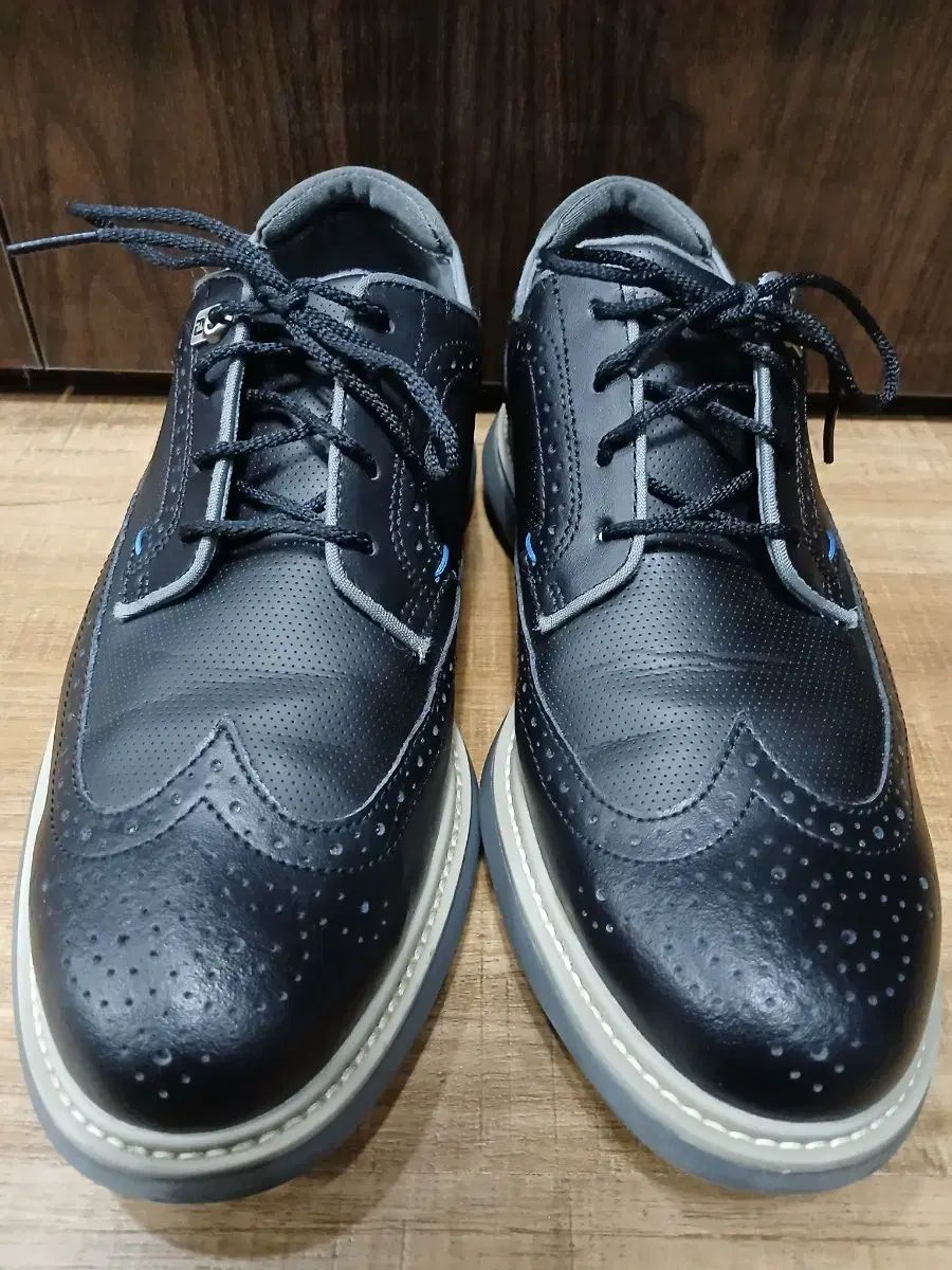 FootJoy フットジョイ ゴルフシューズ 7 1 2 260mm