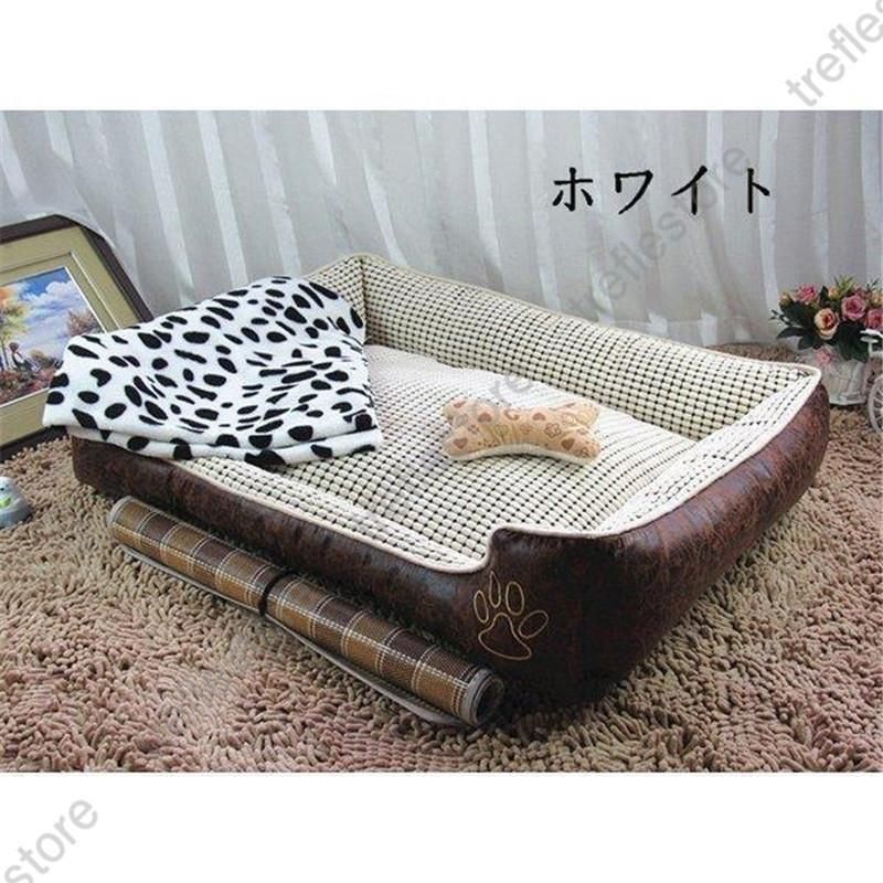 耐噛み