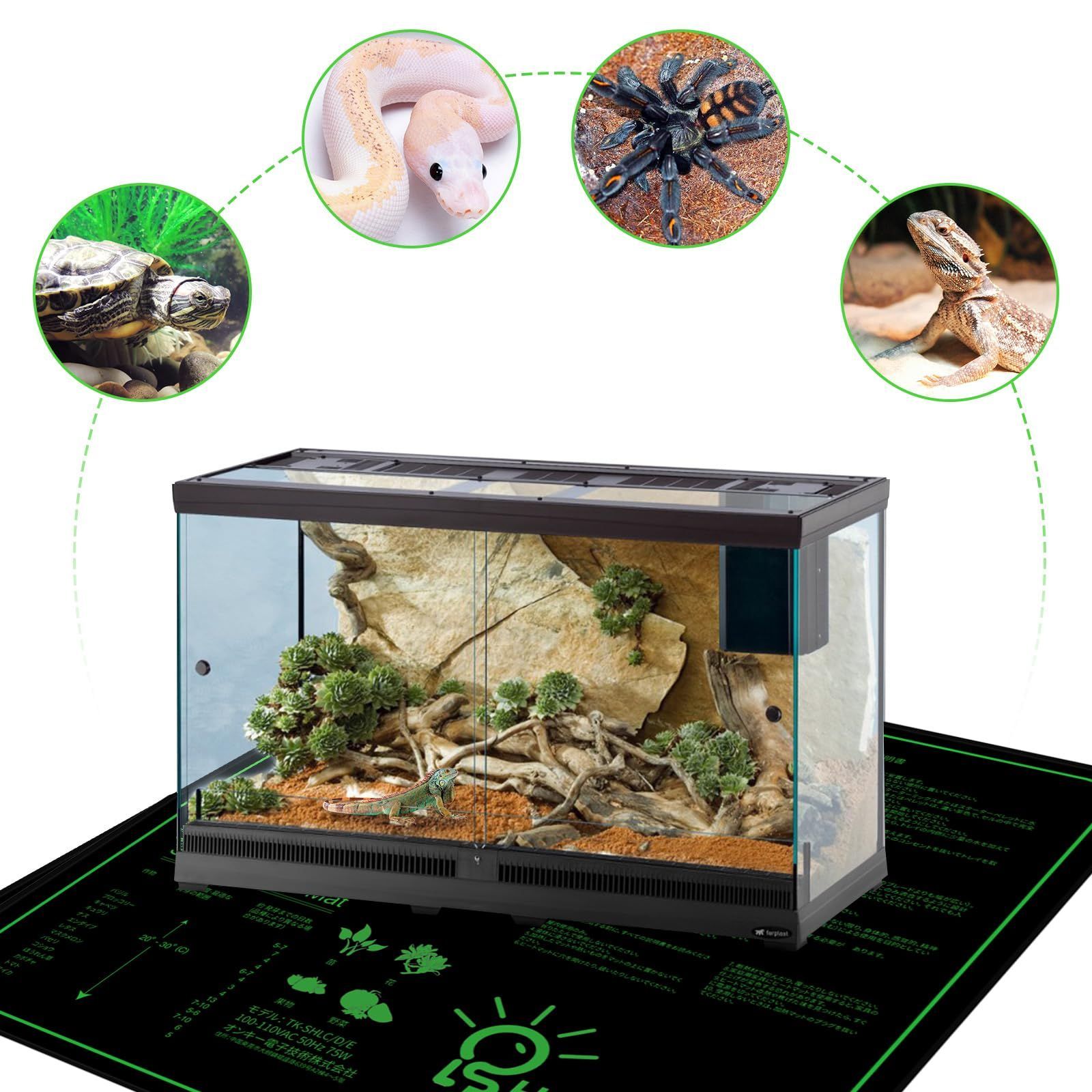 27.5cm 新品未使用　スノーボード　ブーツ　ヘッド　初心者　簡単黒色ブラック 四方竹根付き4本