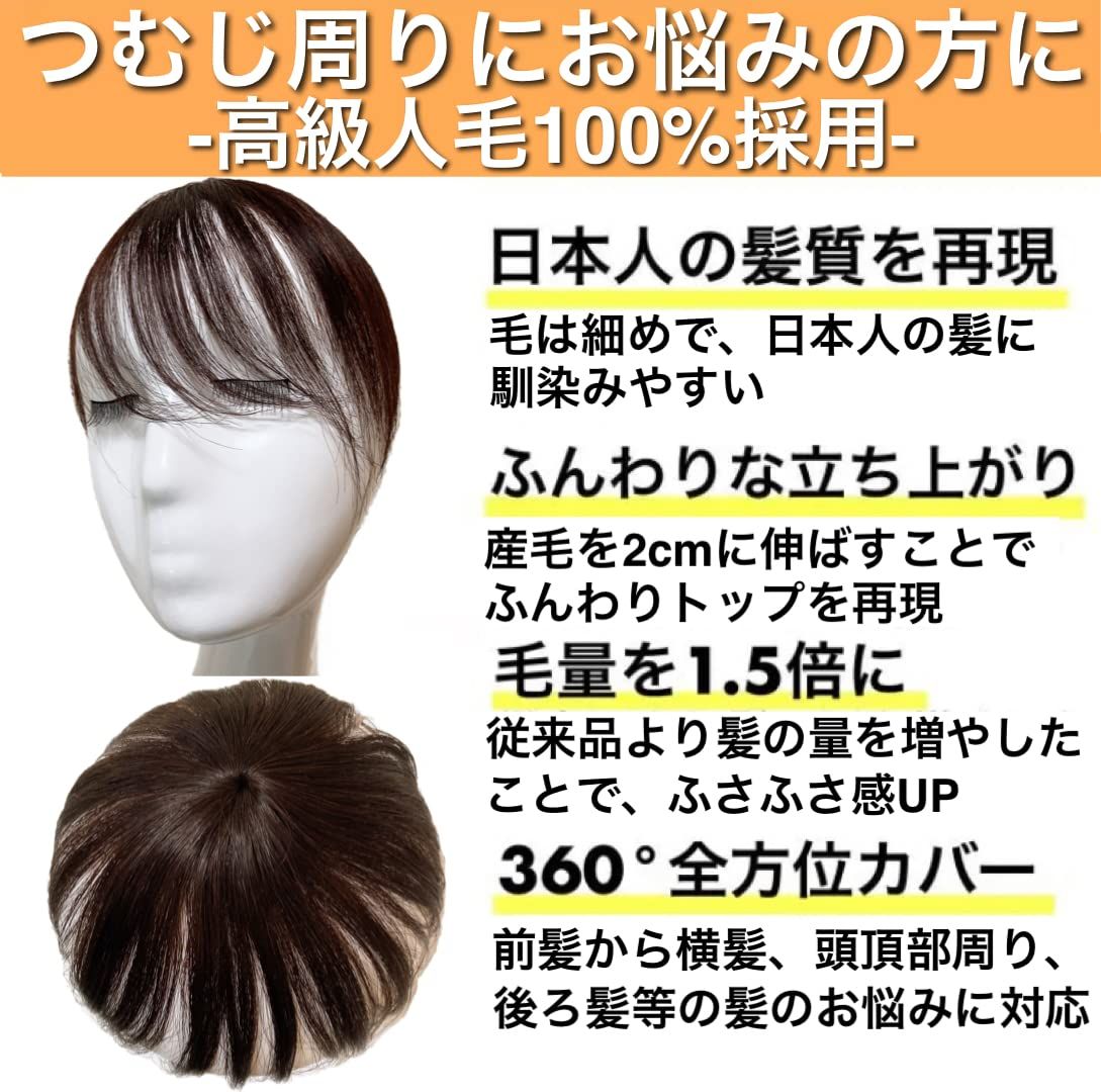 Luce brillare かつら 男性 女性 部分カツラ 部分ウィッグ