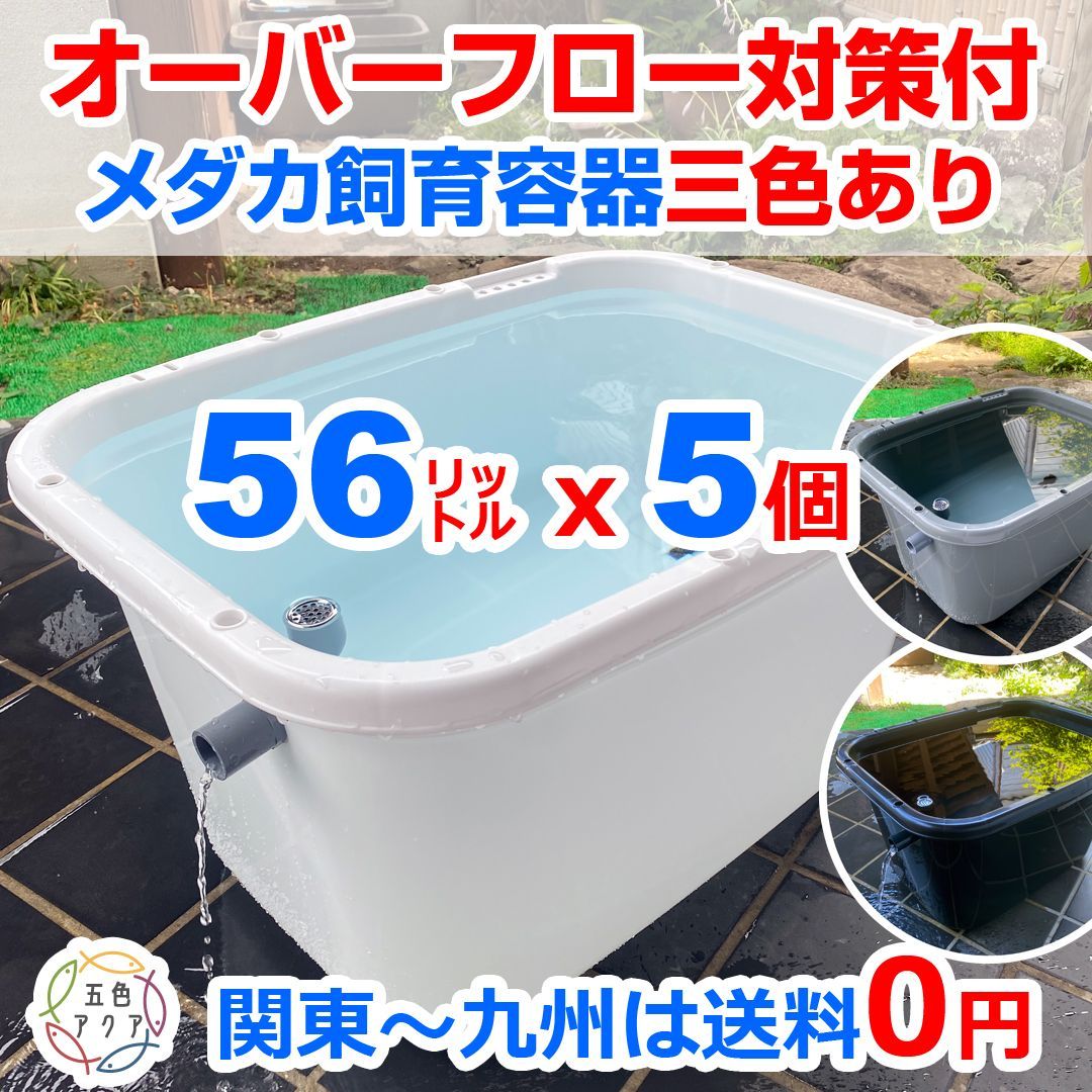 【新仕様】メダカ飼育ケース 56㍑x5個 白黒灰選択可 オーバーフロー加工済 新仕様】五色アクア メダカ飼育ケース 56㍑x5個【三色有り