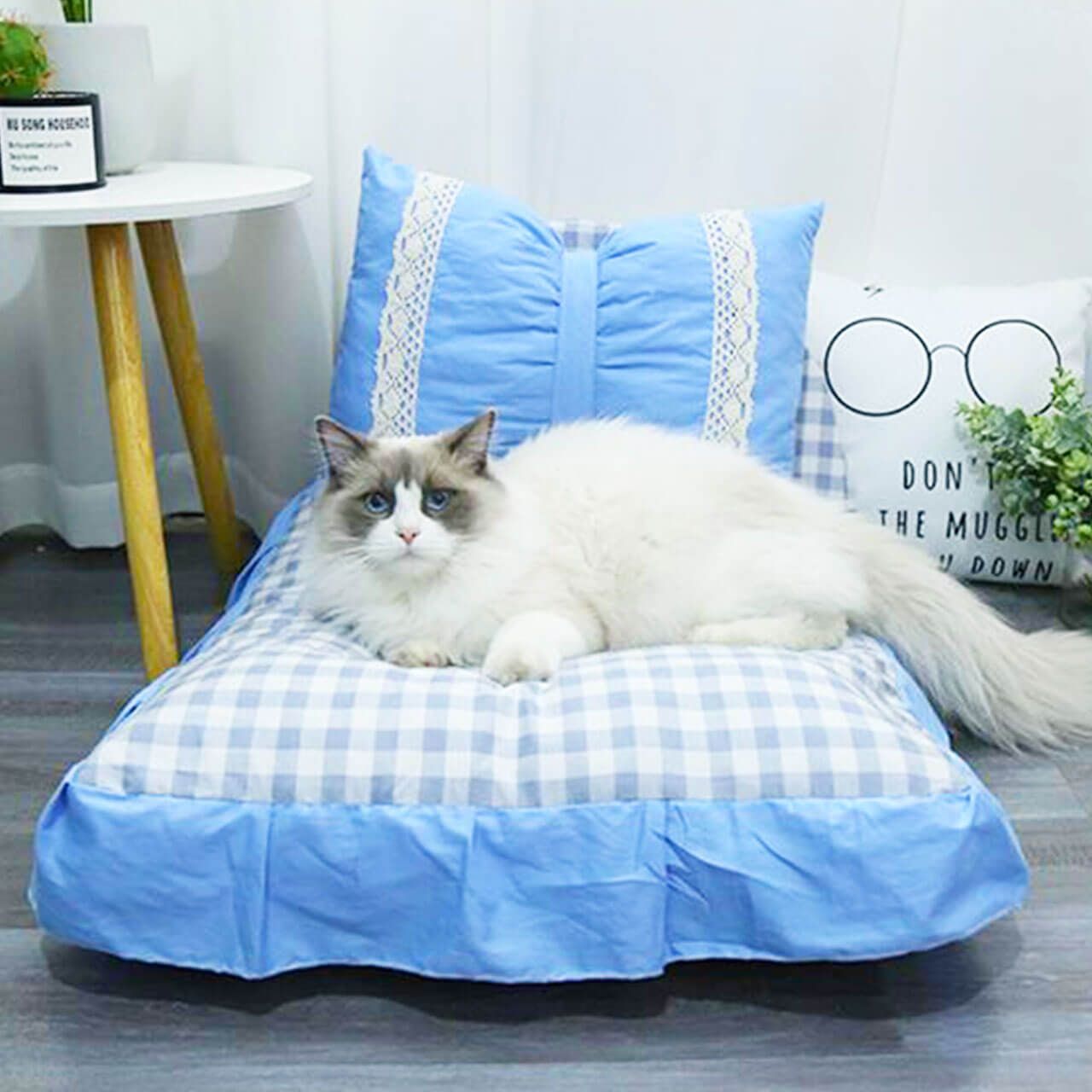 猫型