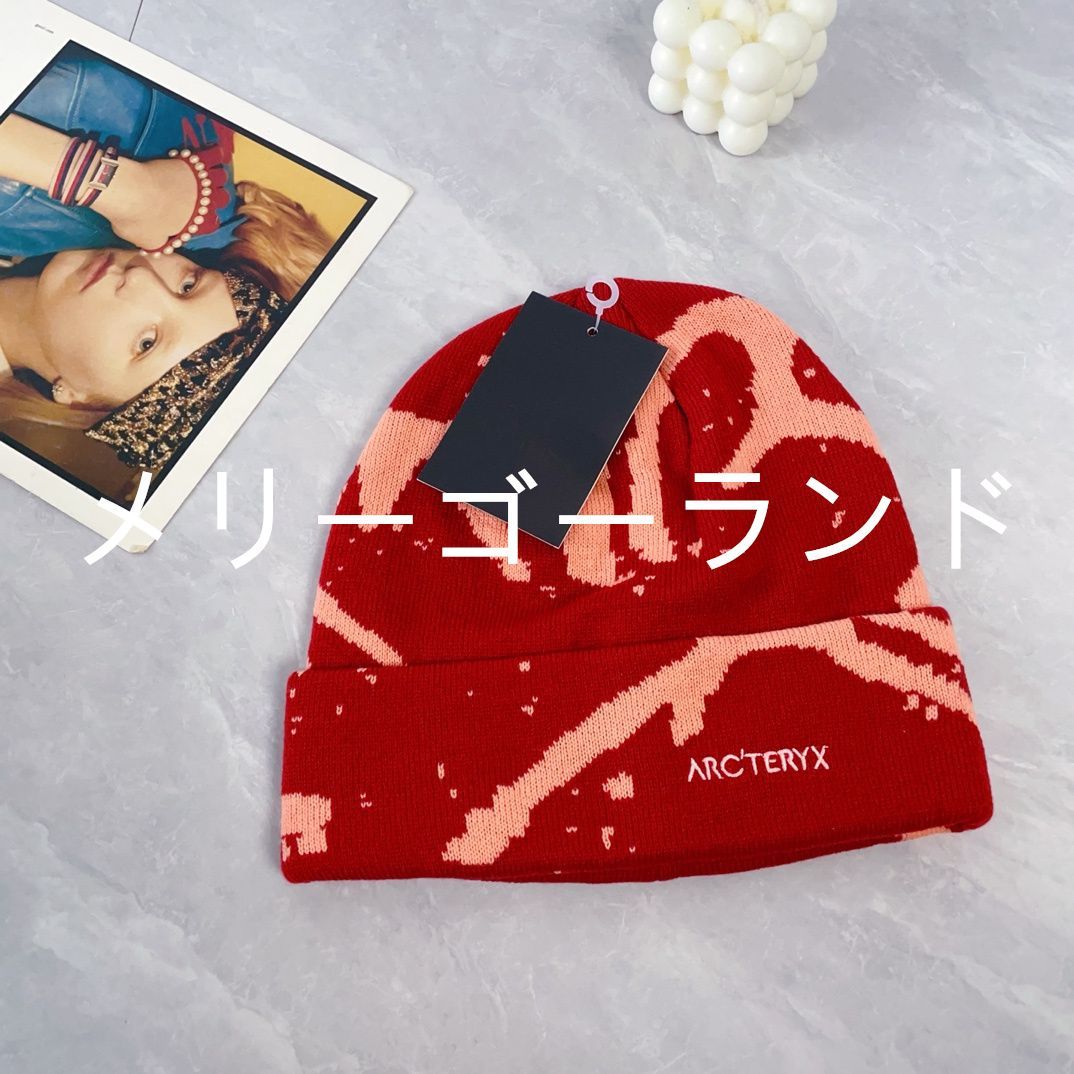 新品アークテリクス ビーニー ニット帽 ありがと Bird Head Toque