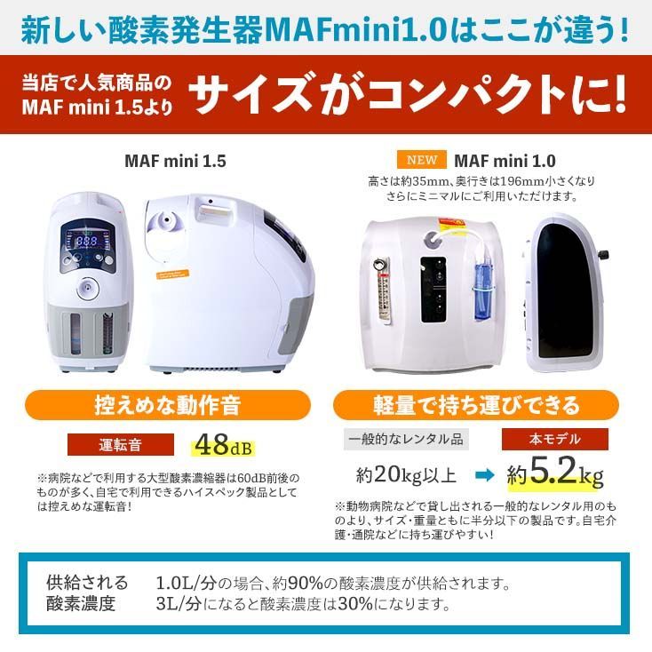 フェレット