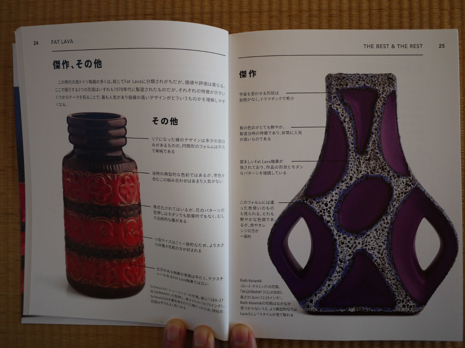 【日本語訳版】Fat Lava ファットラバ 本 ドイツ Amazon.co.jp: Fat Lava ファットラバ 本 ドイツ アートブック