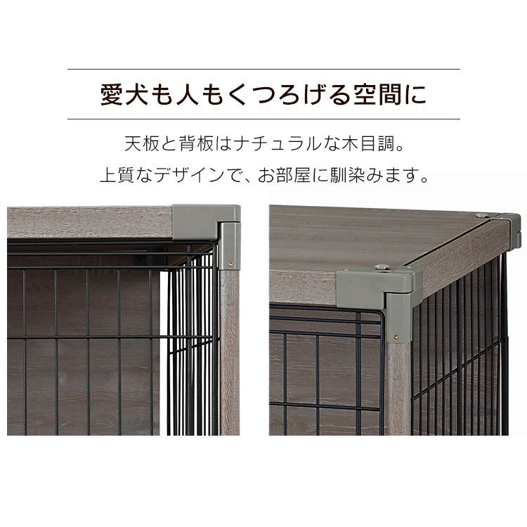 公式 犬